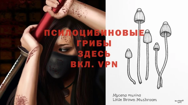 тгк Беломорск