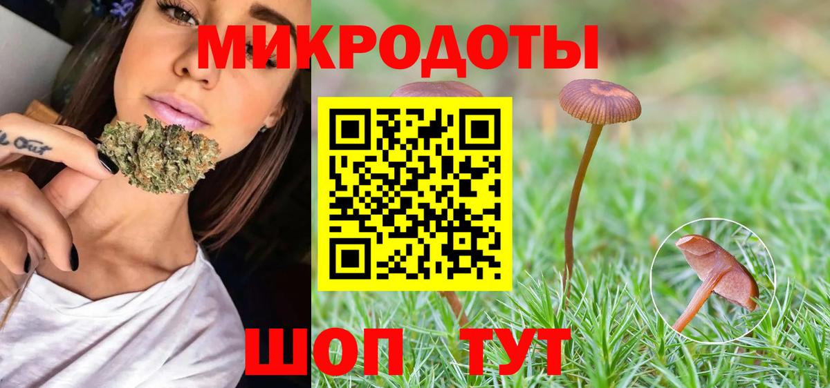 Псилоцибиновые грибы мицелий  Вход с VPN  Бутурлиновка  Галлюциногенные грибы Psilocybine cubensis 